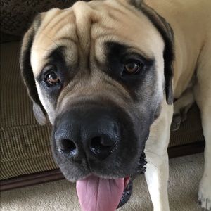 Meet your Posher, Kim